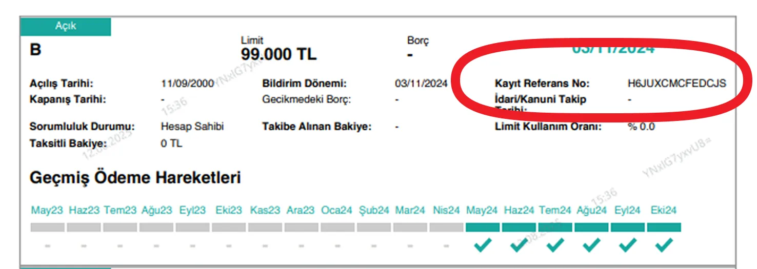 Rapor Referans Numarası Gösterimi