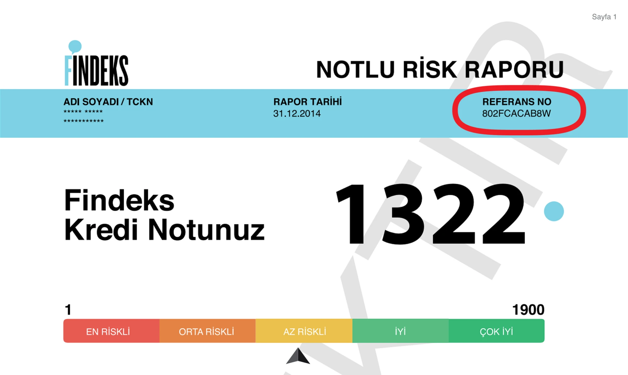 Rapor Referans Numarası Gösterimi 2